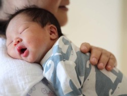 万级层流胚胎实验室